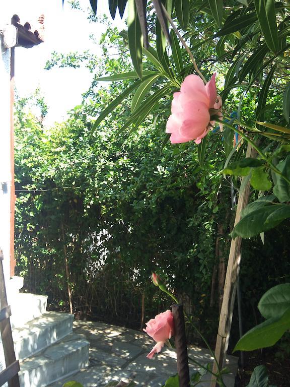 Kyriaki Hotel Bandar Skopelos Luaran gambar