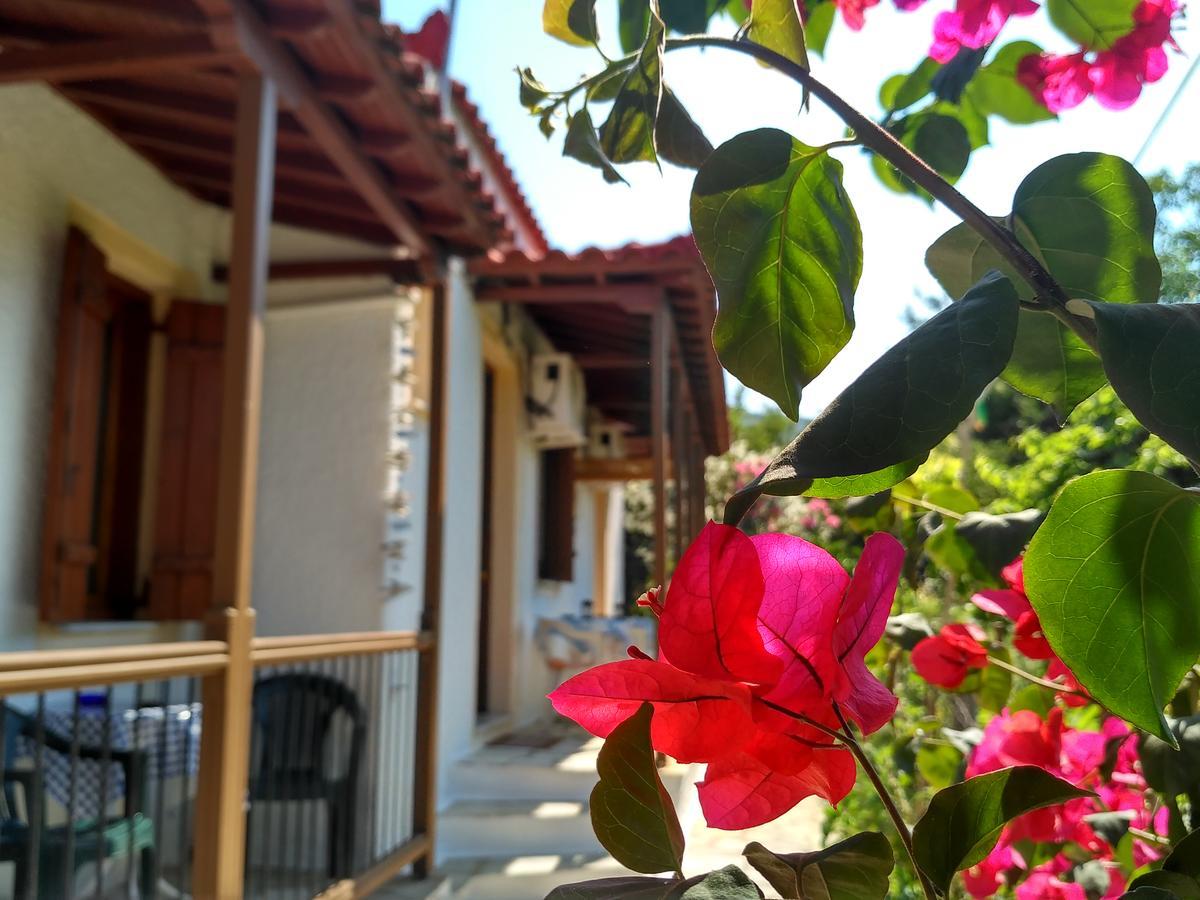 Kyriaki Hotel Bandar Skopelos Luaran gambar