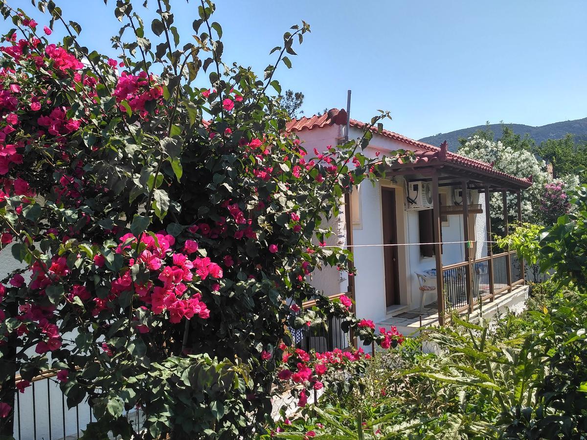 Kyriaki Hotel Bandar Skopelos Luaran gambar