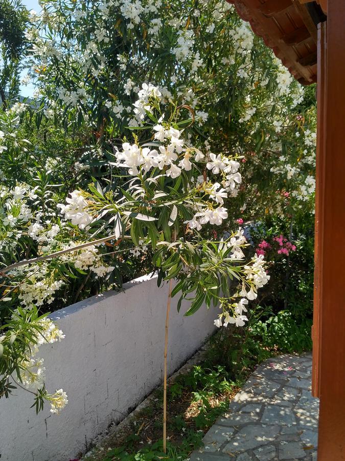 Kyriaki Hotel Bandar Skopelos Luaran gambar