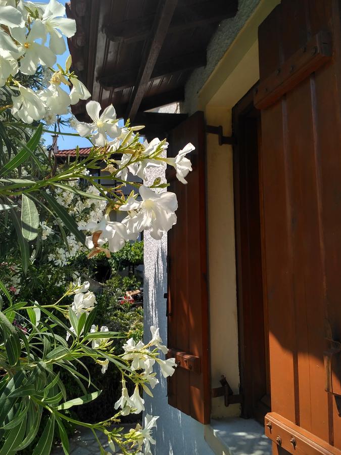 Kyriaki Hotel Bandar Skopelos Luaran gambar